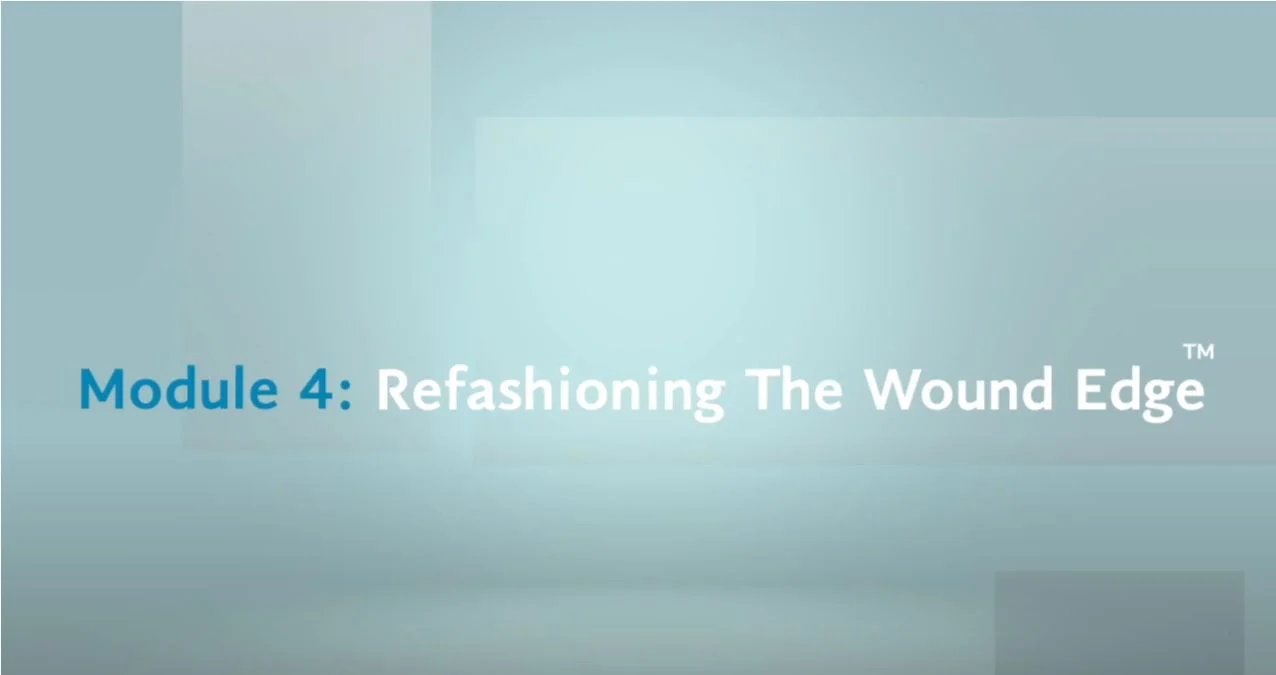 graphical user interface, application, PowerPoint