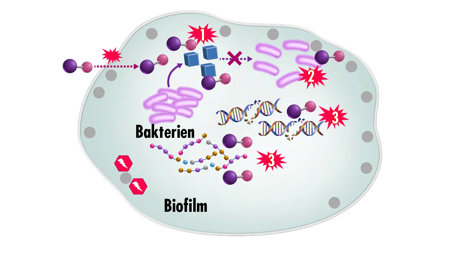 Grafik mit Bakerien und Biofilm, das die Wirkung von NO veranschaulicht. 