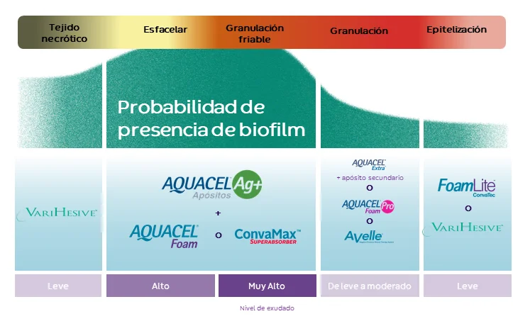 diagrama, línea de tiempo