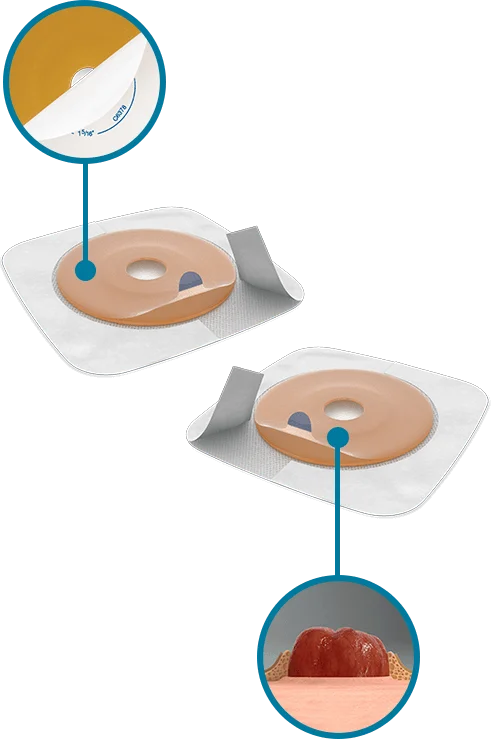 Yapıştırıcıların çizimi