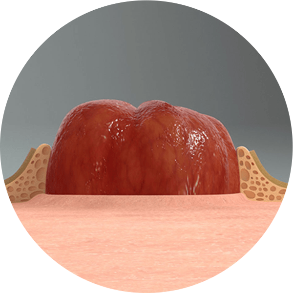 赤と白のボールのクローズアップ