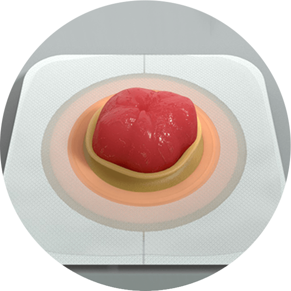 食べ物が乗った皿